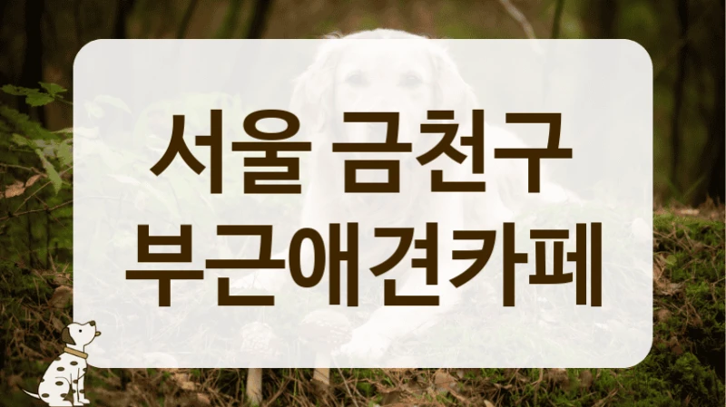 금천구 우리 강아지 놀이터 찾기, 안전한 애견카페