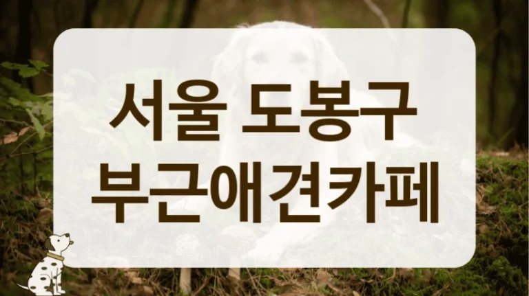 도봉구 늦게까지 운영하는 야간 애견카페 리스트