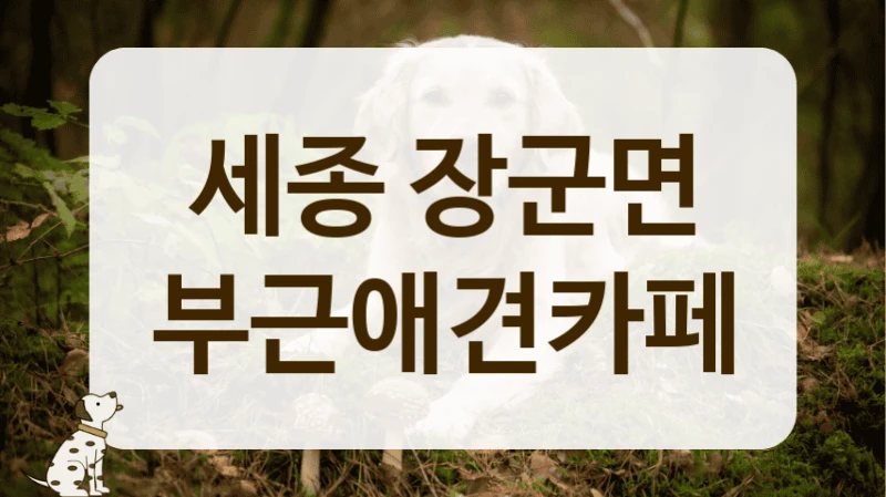 장군면 우리 아이를 위한 세심한 공간 애견카페 안내