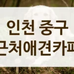 중구 매너 있는 반려동물 전문 카페 정보