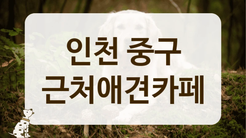중구 매너 있는 반려동물 전문 카페 정보