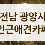 광양시 애견카페 음료 가격 저렴한 곳 추천 안내