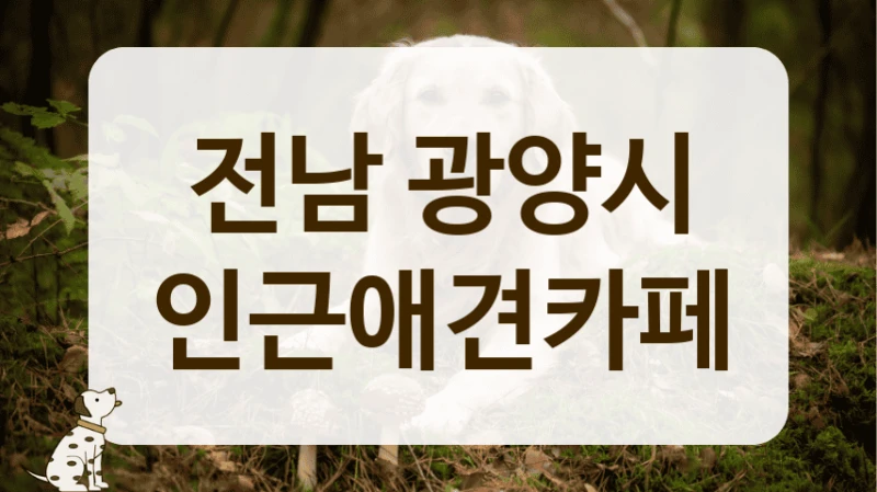 광양시 애견카페 음료 가격 저렴한 곳 추천 안내