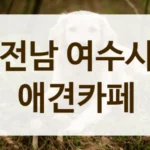 여수시 부근 반려견 동반 나들이, 애견카페 추천 장소