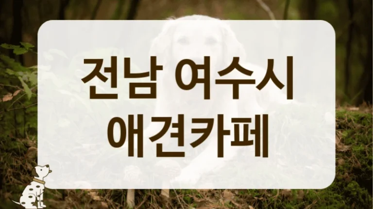 여수시 부근 반려견 동반 나들이, 애견카페 추천 장소