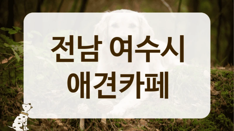 여수시 부근 반려견 동반 나들이, 애견카페 추천 장소