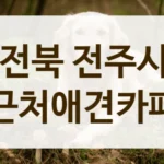 전주시 신뢰할 수 있는 반려동물 전문 카페 정보