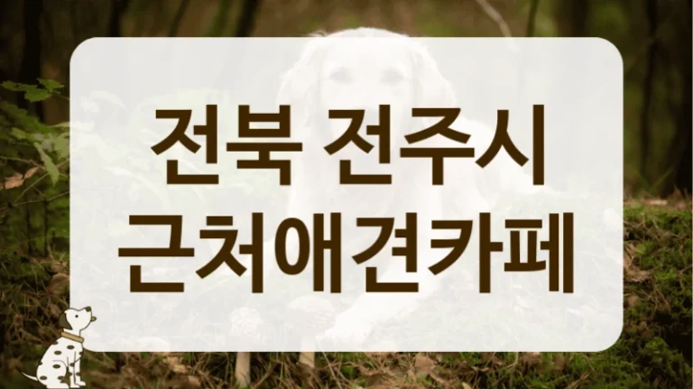 전주시 신뢰할 수 있는 반려동물 전문 카페 정보