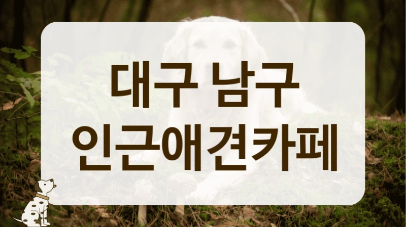 대구 남구 정보 공유를 중시하는 애견카페 추천