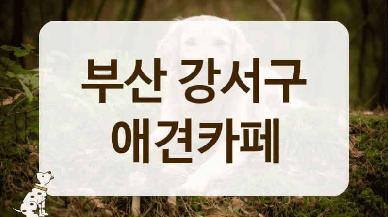 부산 강서구 디저트 맛집 애견 동반 카페 안내