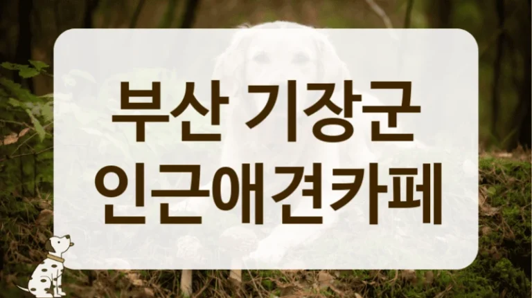 부산 기장군 분위기 좋은 카페, 데이트 코스 장소 안내 부산 기장군 분위기 좋은 카페, 데이트 코스 장소 안내
