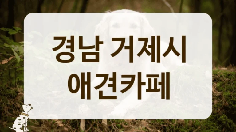 거제시 우리 아이를 위한 맞춤 놀이터 애견카페 추천