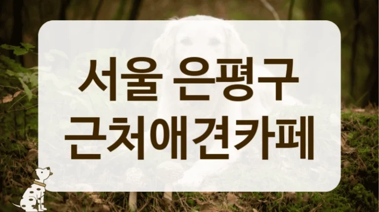 은평구 우리 동네 숨은 핫플 애견카페 찾기