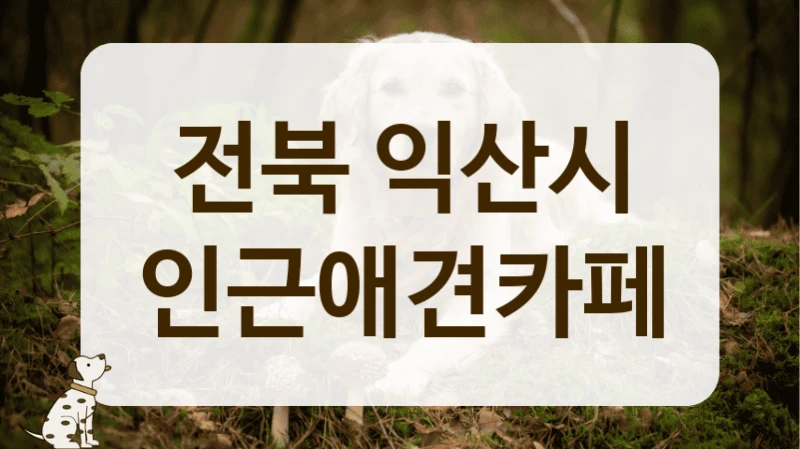 익산시 사회화 시기 강아지 방문하기 좋은, 세심한 케어 애견카페