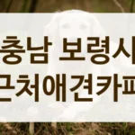충남 보령시 반려동물 생일파티 장소 대관 및 카페