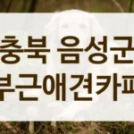 충북 음성군 분위기 좋은 카페, 데이트 코스 장소 안내