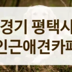 평택시 강아지 용품 판매 및 체험 가능한 애견카페 정보