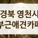 경북 영천시 숲세권 힐링 애견카페 방문 후기