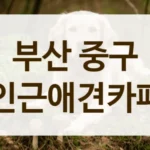 부산 중구 감성 가득 포토존 애견카페 안내
