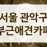 관악구 비만견 다이어트 해결 가능한 넓은 애견카페 안내
