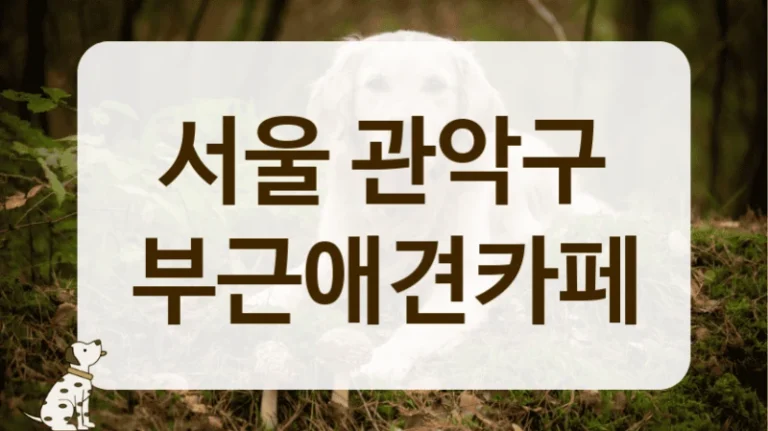 관악구 비만견 다이어트 해결 가능한 넓은 애견카페 안내